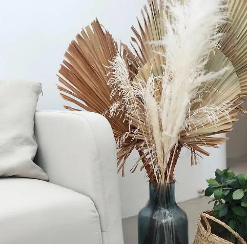 Nomad Surf House Hostel