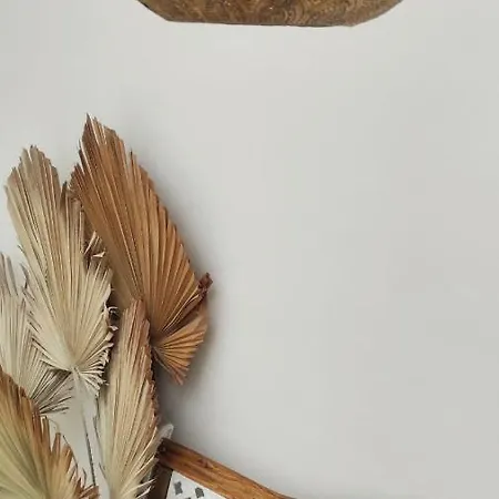 Nomad Surf House Хостел Коральео