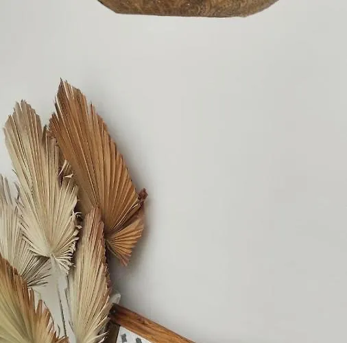 Nomad Surf House Auberge de jeunesse Corralejo